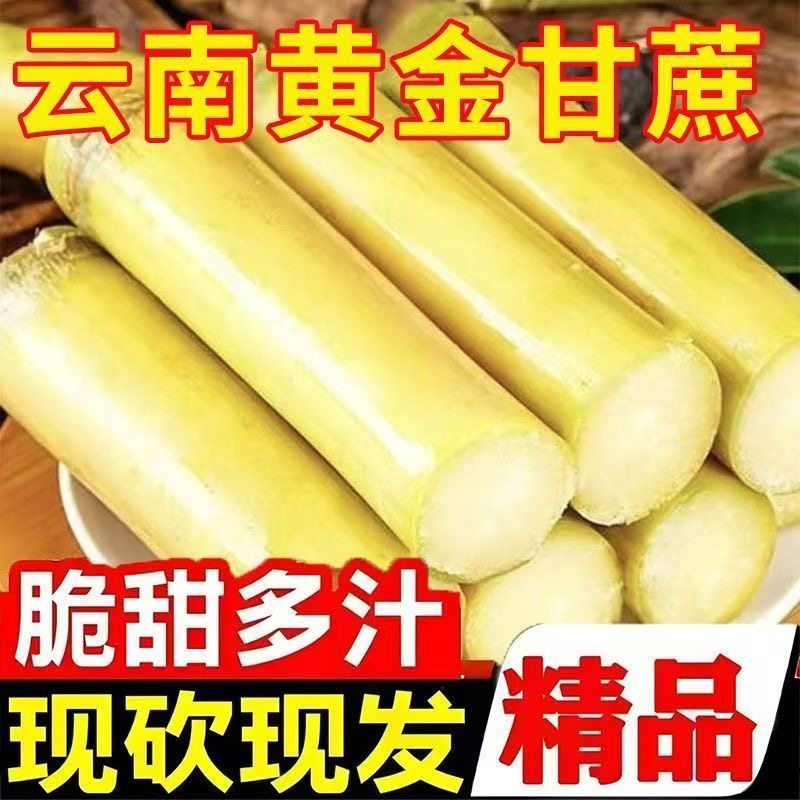 云南黄金甘蔗新鲜现砍黄皮手撕甘蔗儿童孕妇水果真空包装产地直发,淘宝优惠券,粉丝福利购,淘宝优惠卷