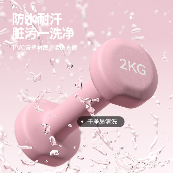Ladies Small Dumbbell Solid Cast Iron