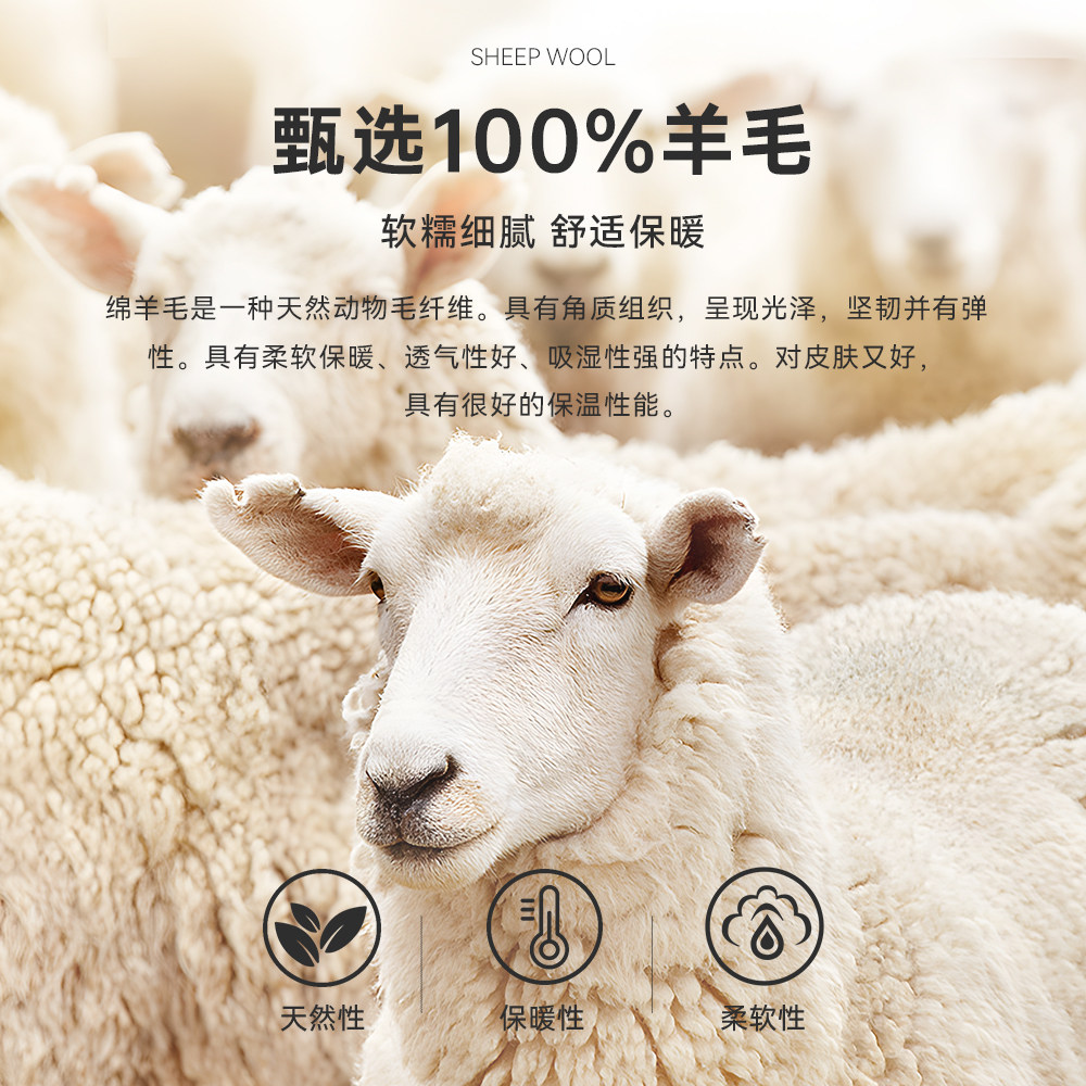 【100%绵羊毛】Raidy Boer/雷迪波尔半高领针织毛衣羊毛衫男 5066,淘宝优惠券,粉丝福利购,淘宝优惠卷