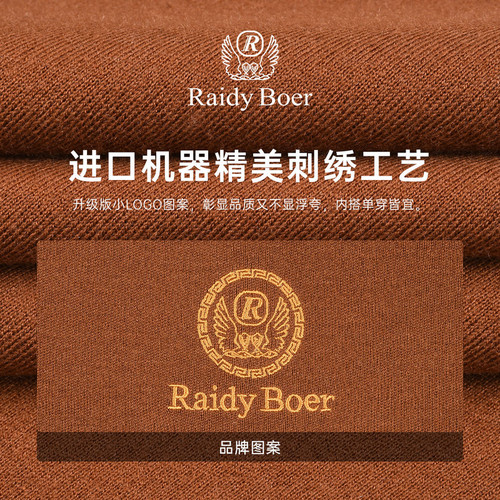 【可机洗防缩水】RaidyBoer/雷迪波尔男羊毛刺绣logo图案毛衣5010 - 图1