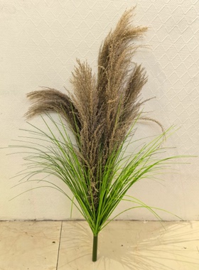 天然芦苇干花绿植摆件仿真草假花造景植物盆栽店面家居装饰摆件