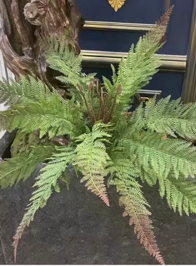 高品质手感大蕨叶蕨草假草