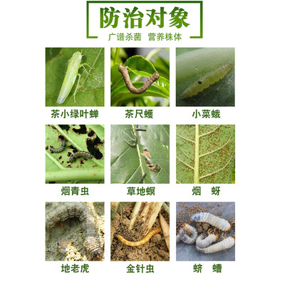 高效氯氟氰菊酯菜青虫食心虫棉铃虫蚜虫卷叶蛾地下害虫农药杀虫剂 虎窝淘
