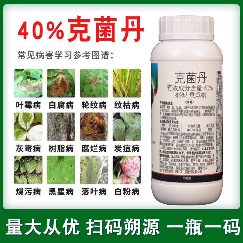 克菌丹果树柑橘树脂炭疽沙皮煤污灰霉苹果树斑点落叶病农药杀菌剂 - 图0