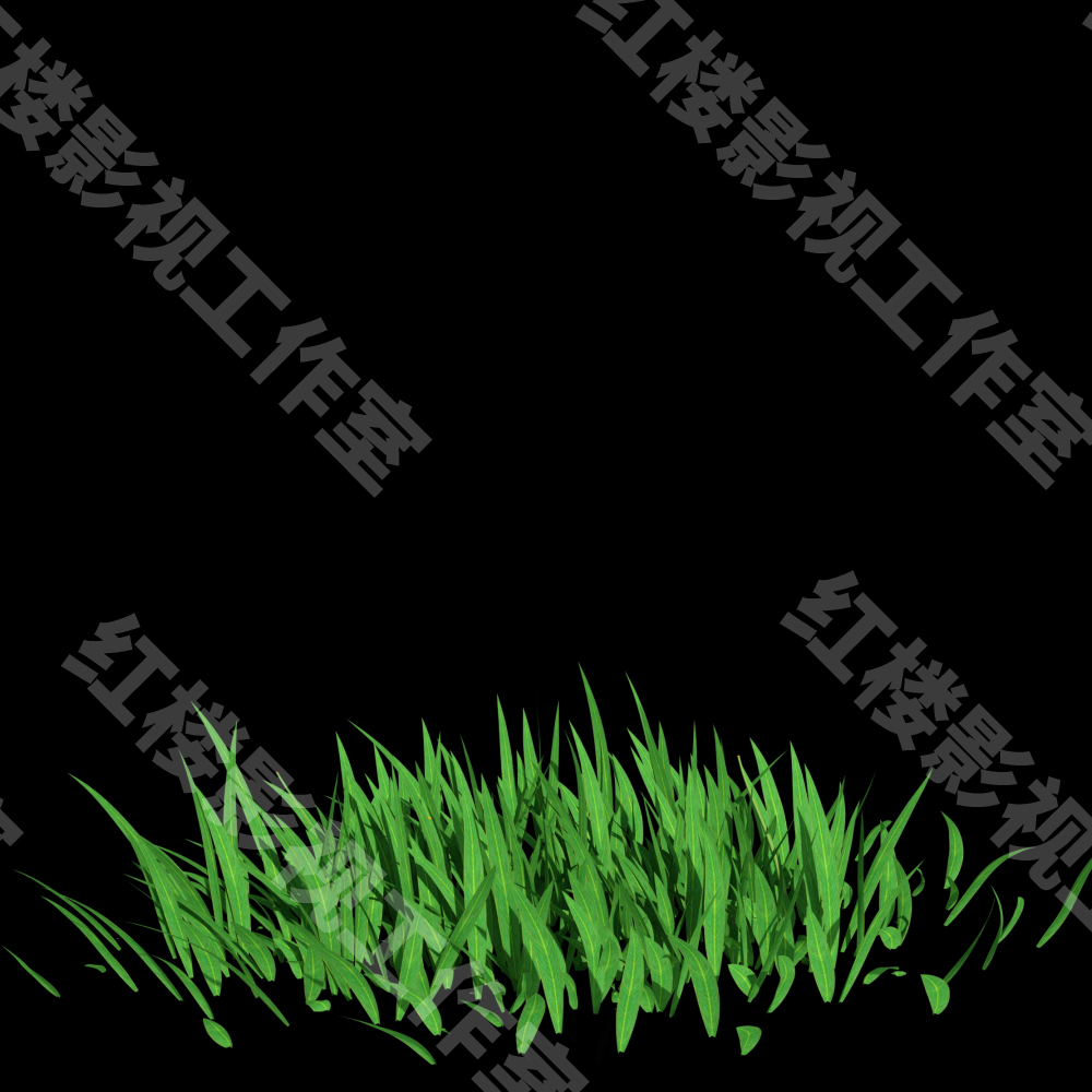 4K植物自然生长花生长草生长植物从无到有生长动画视频素材001-图0