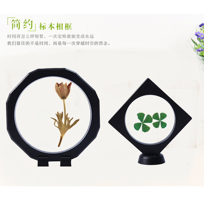 透明植物树叶标本架动物昆虫标本框蝴蝶标本相框桌面立体画裱框 - 图2