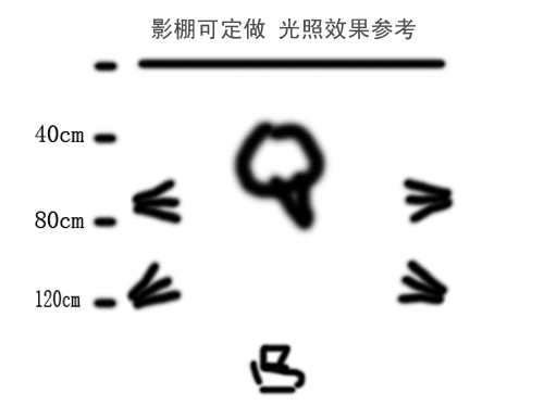 200CM摄影棚模特专用LED服装人像拍摄棚摄影灯箱柔光箱套装证件照 - 图1