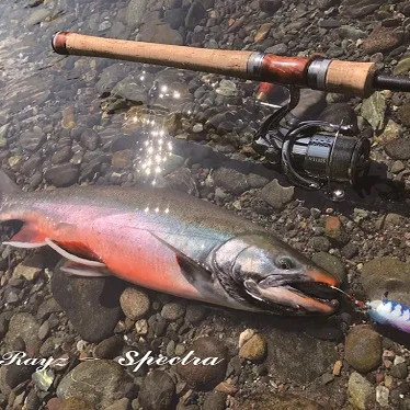 日本进口天龙Rayz路亚竿软木直柄淡水碳素溪流鳟鱼马口鳟鱼翘嘴,淘宝优惠券,粉丝福利购,淘宝优惠卷