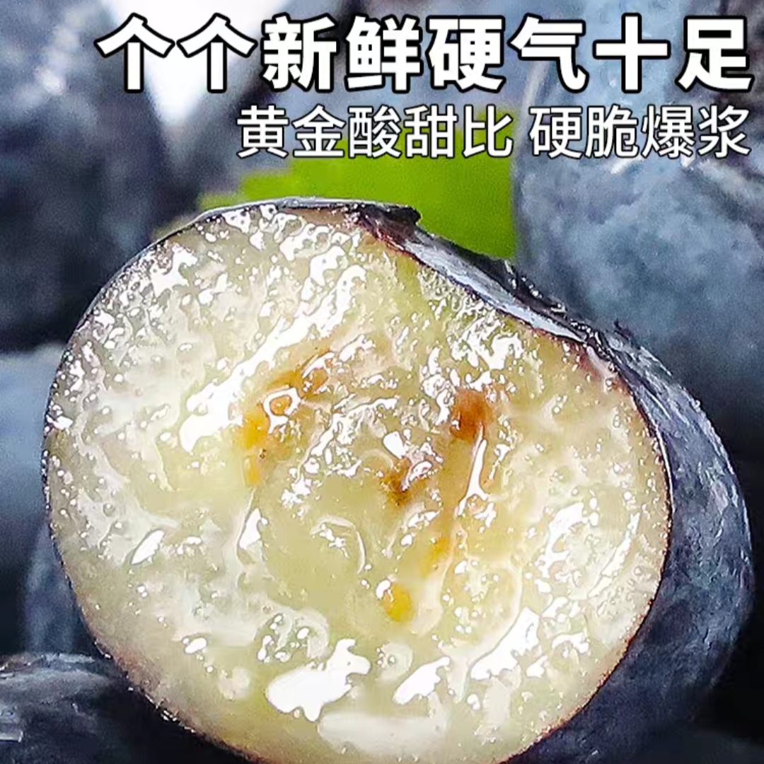 露天种植云南澄江抚仙湖特级蓝莓基地直发新鲜采摘水果高端品种 - 图0