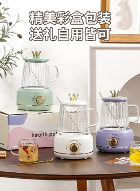 养生壶家用学生煮茶养生杯