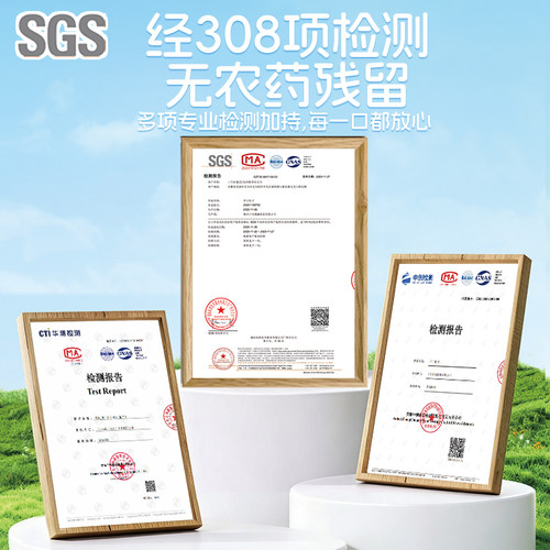 三只松鼠金装长白山开口红松子520g虎皮松子罐装大颗坚果休闲零食 - 图1