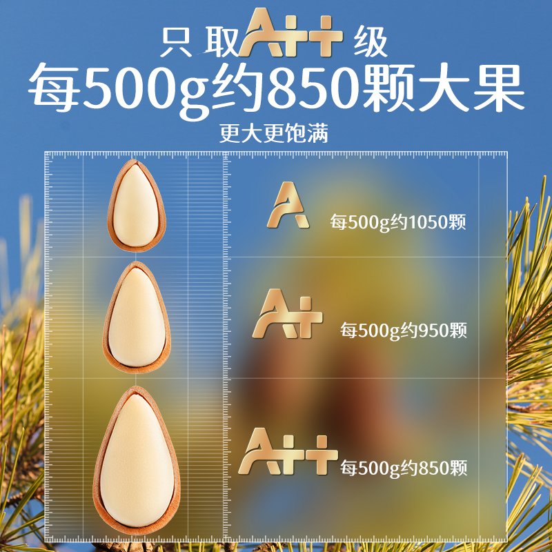 【三只松鼠_罐装大颗粒松子500g】健康零食坚果罐装开口松子东北 - 图0