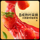 Three Squirrels_Strawberry Dried Fruit Preserves