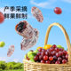 Three Squirrels_Tangerine Peel Plum Grapes 100g