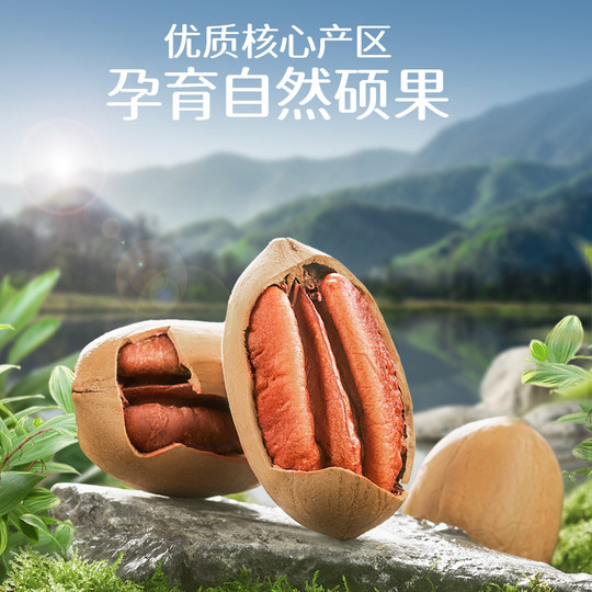 Three Squirrels canned large pecans 500g