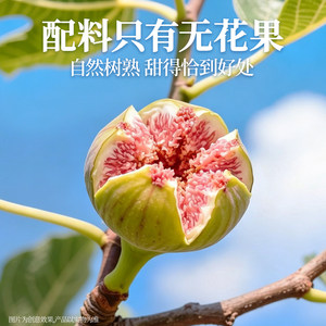 【三只松鼠_伊朗玫瑰无花果干】天然黄酮孕妇营养健康果干零食