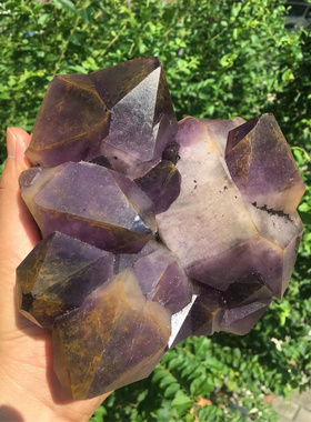 天然紫水晶标本骨干原石摆件 黄皮 大晶牙 一物一图水晶