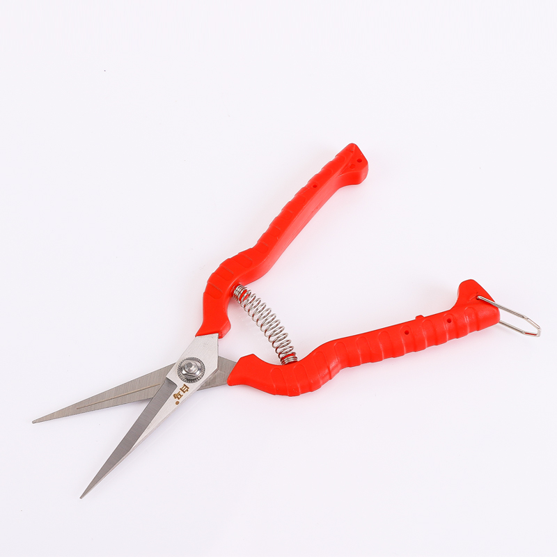 现货 修枝剪园艺整枝工具剪刀葡萄剪刀 水果剪刀厂家丁峰包装,淘宝优惠券,粉丝福利购,淘宝优惠卷