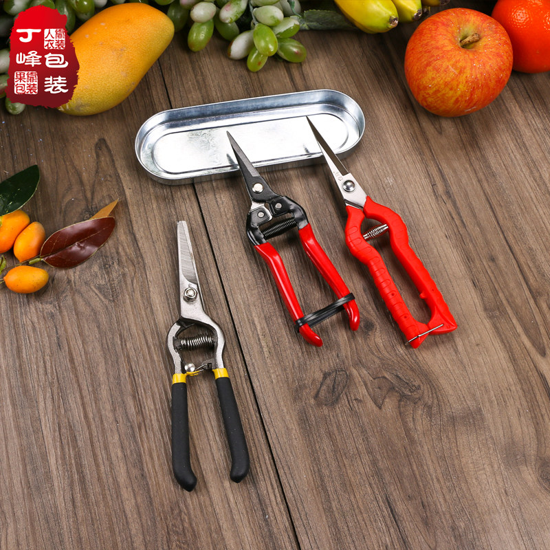 桔子剪葡萄剪修枝剪刀 水果超市柑橘剪稀果剪修花摘果剪树剪刀,淘宝优惠券,粉丝福利购,淘宝优惠卷