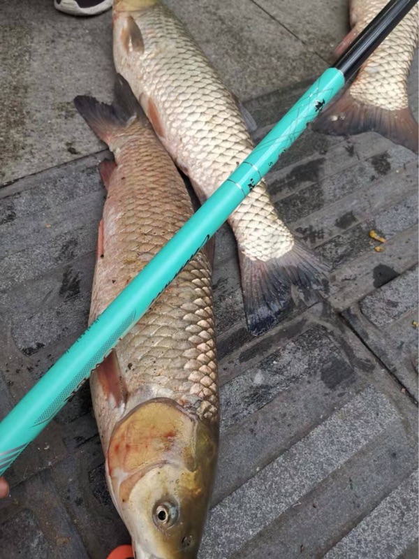 客友和峰风鲤二代台钓野钓黑坑大物鱼杆28钓超硬超轻综合鱼竿-图1