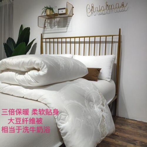 高端51%大豆蛋白纤维冬被 软糯贴身夏被春秋被加厚保暖单双人被子 - 图0