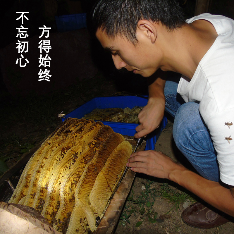 野生嚼着吃纯正天然老巢蜜蜂巢蜜 汉江美农蜂蜜