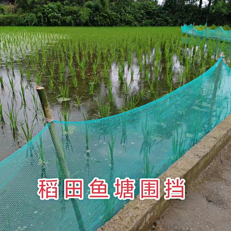 渔网抬网箱加厚无结网片网布尼龙网球场围网养鸡网防鸟网天网耐用 - 图3