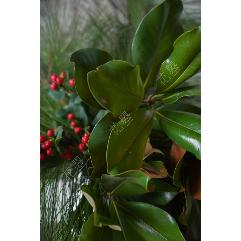 花曌 新鲜采摘广玉兰马尾松红豆组合花艺鲜花水养真花家居瓶插花,淘宝优惠券,粉丝福利购,淘宝优惠卷