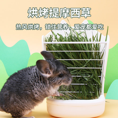 烘干提摩西草500克 兔草兔粮兔饲料 荷兰猪龙猫豚鼠牧草干草提草 - 图1