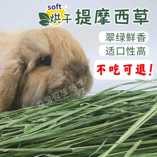 烘干提摩西草500克 兔草兔粮兔饲料 荷兰猪龙猫豚鼠牧草干草提草 - 图0