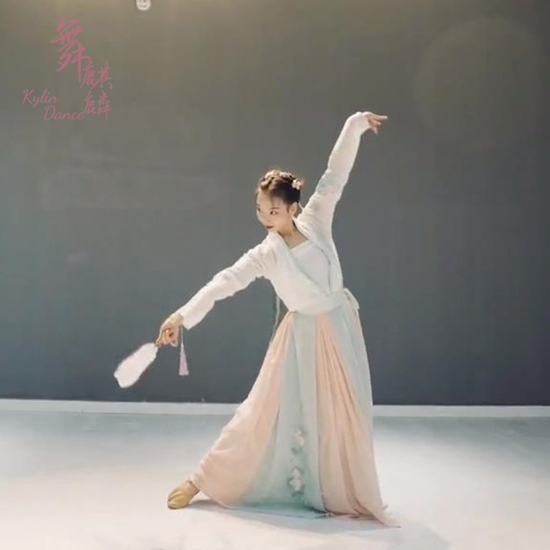 2021新款古典舞怎叹独舞群舞舞蹈服班服汉唐风演出服女表演服定制_虎窝淘
