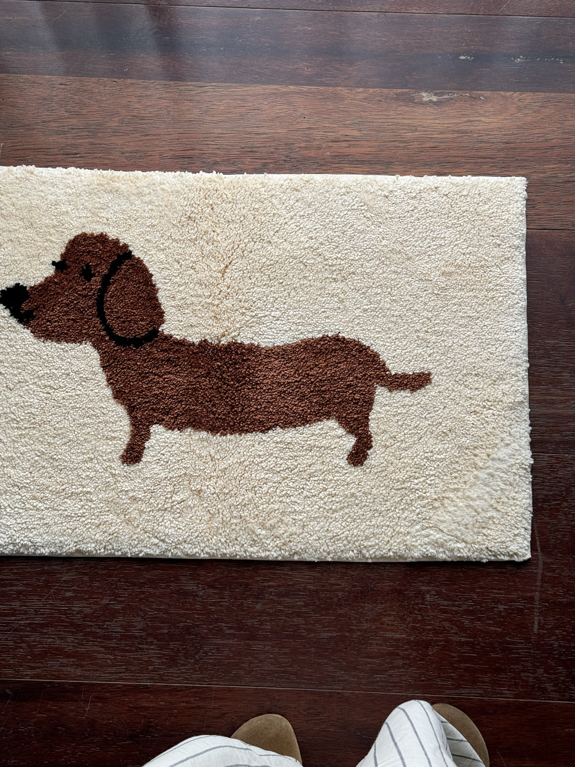 ARISUSPACE好运腊肠小狗韩式簇绒地垫入户地垫脚垫门垫吸水防滑,淘宝优惠券,粉丝福利购,淘宝优惠卷