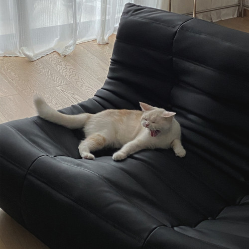 毛毛虫沙发防猫爪客厅可睡可躺阳台单人卧室布艺黑色真皮懒人沙发 - 图3