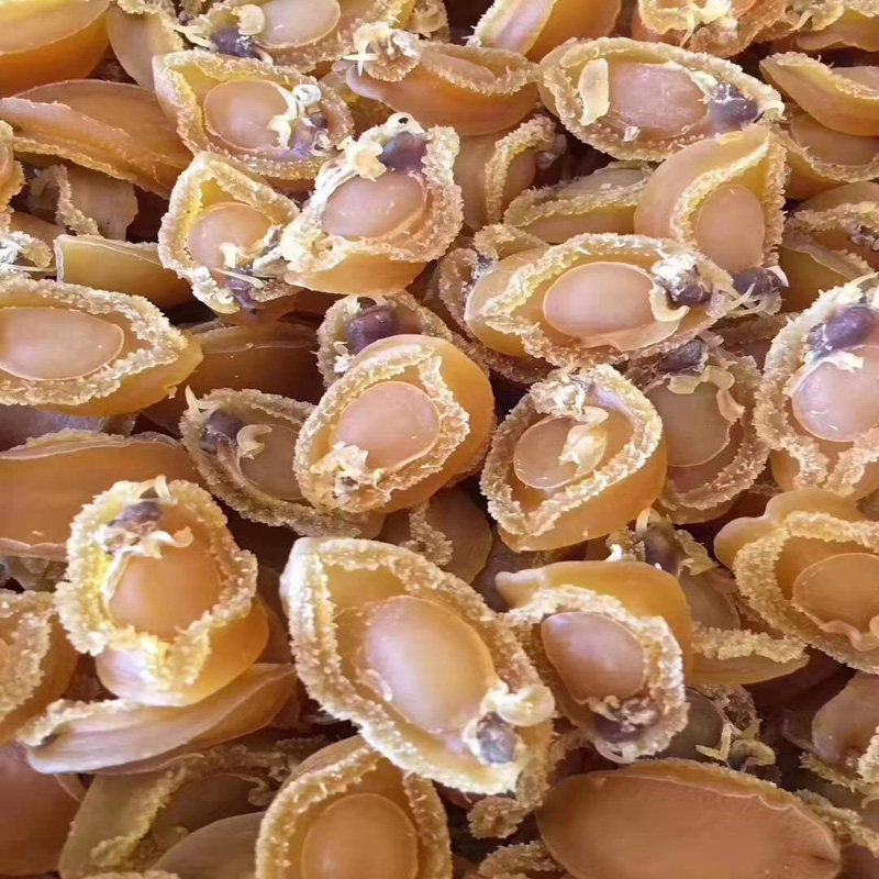 广西特产正品肉厚金黄鲍鱼干天然海鲜美食干货高性价比50克非即食,淘宝优惠券,粉丝福利购,淘宝优惠卷