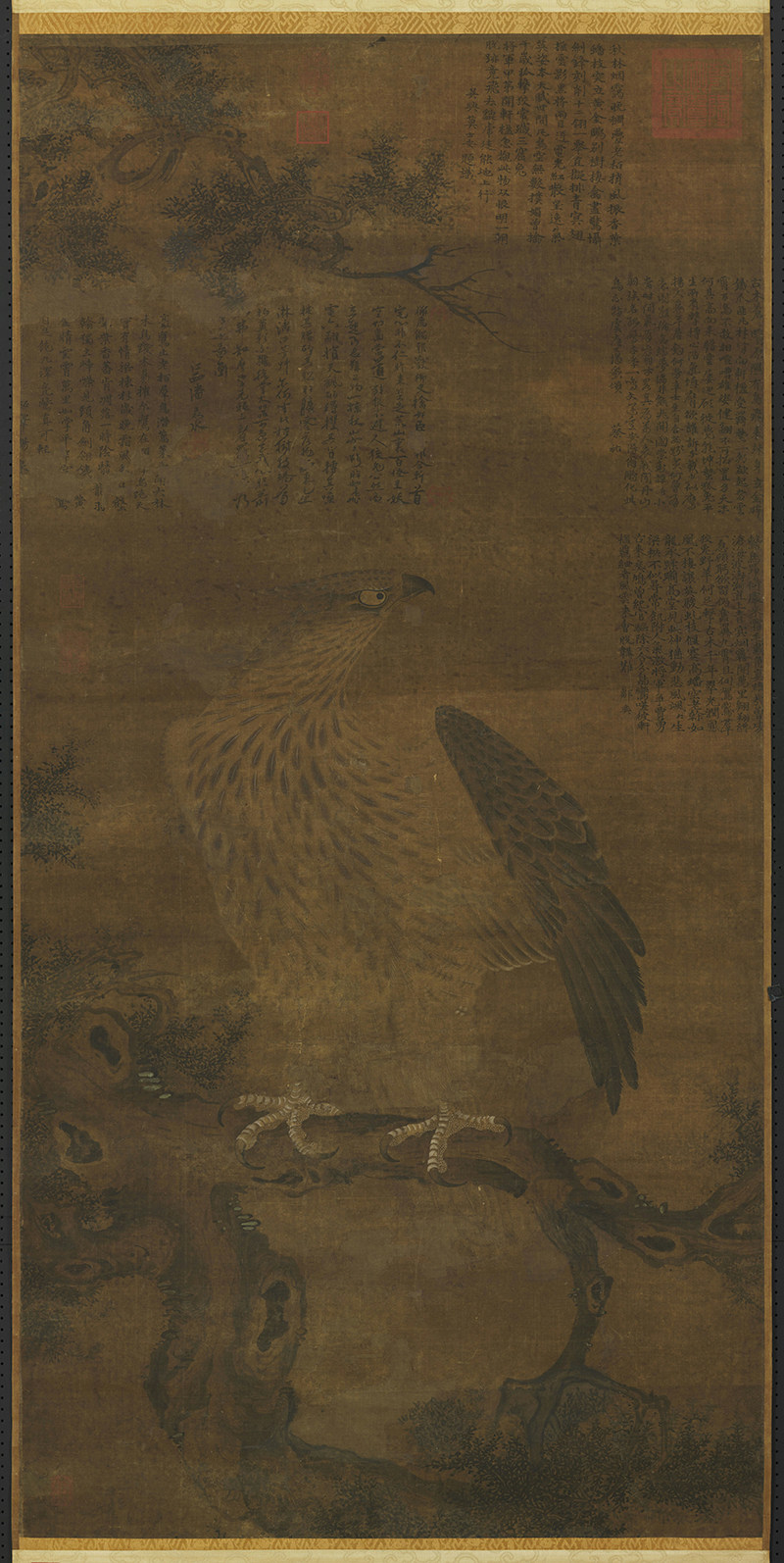 宋朝佚名画鹰图古代工笔老鹰绘画临摹打印参考高清电子版图片素材