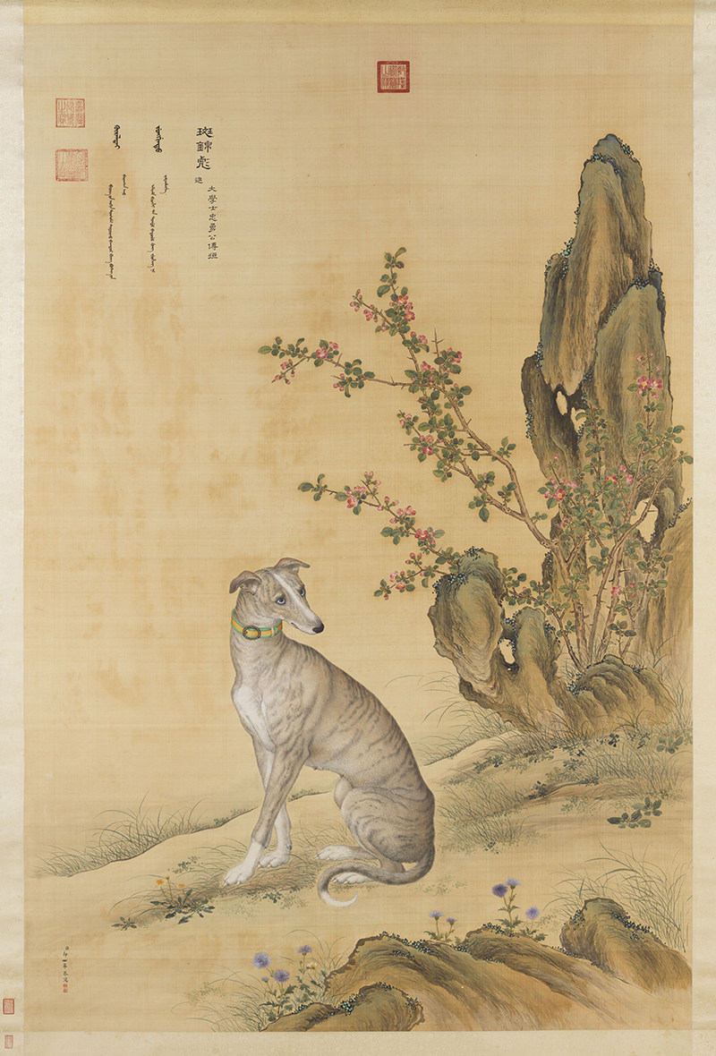 郎世宁画十骏犬斑锦彪图立轴清朝古代工笔狗绘画高清电子图片素材