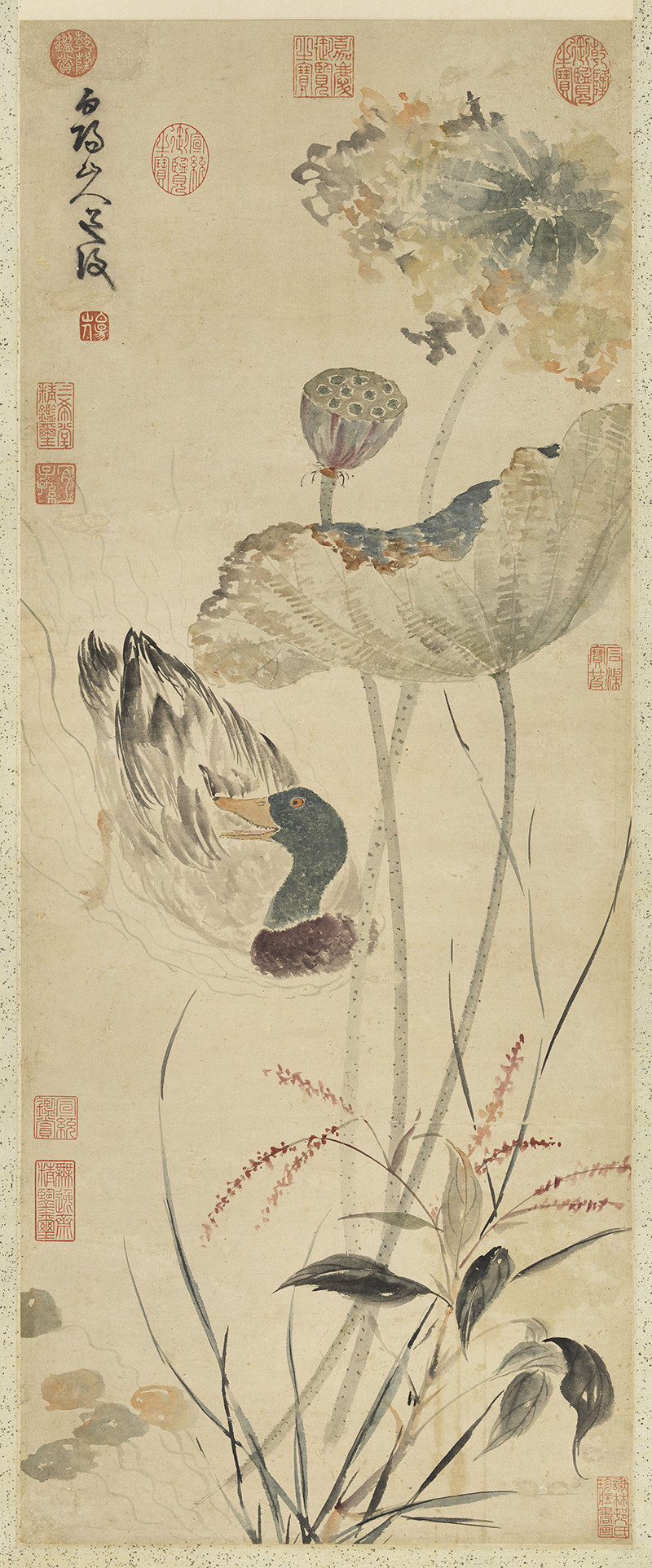 陈淳秋塘花鸭图明朝古代荷花野鸭花鸟绘画装饰高清电子版图片素材