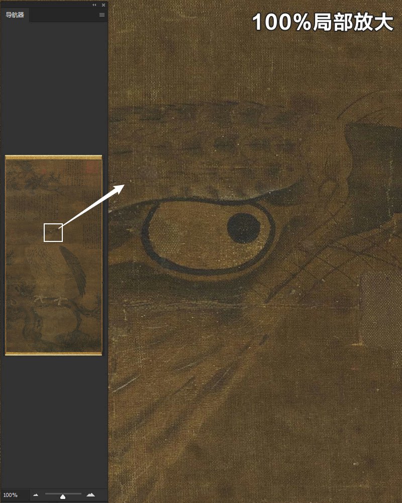 宋朝佚名画鹰图古代工笔老鹰绘画临摹打印参考高清电子版图片素材