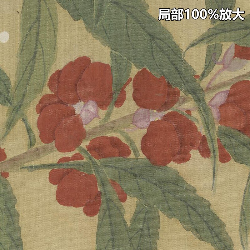 崔鏏花卉草虫图册18副清朝古代传统工笔绘画高清电子版大图片素材