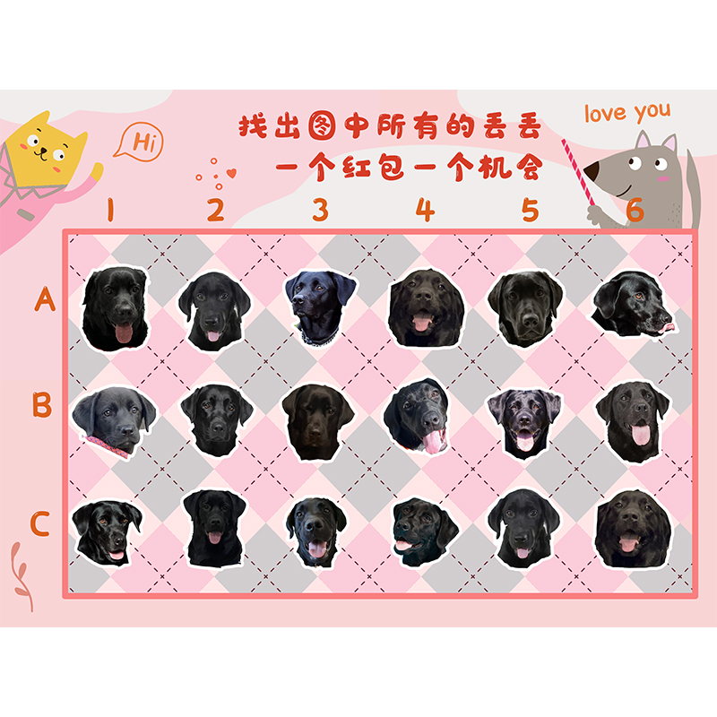 定制接亲找宠物狗狗猫猫游戏道具婚礼创意 结婚拦堵门 认猫咪狗子 - 图3