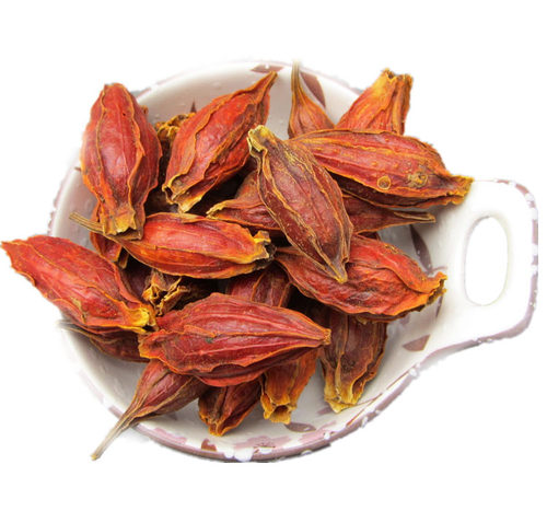 红栀子香料卤料上色常用无硫熏黄栀子枝子可泡水栀子茶中药材新货 - 图0