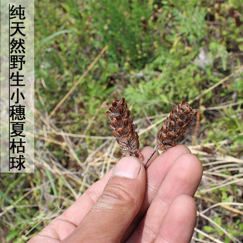 2026年新货野生夏枯球茶中药材正品凉茶夏枯草 - 图1