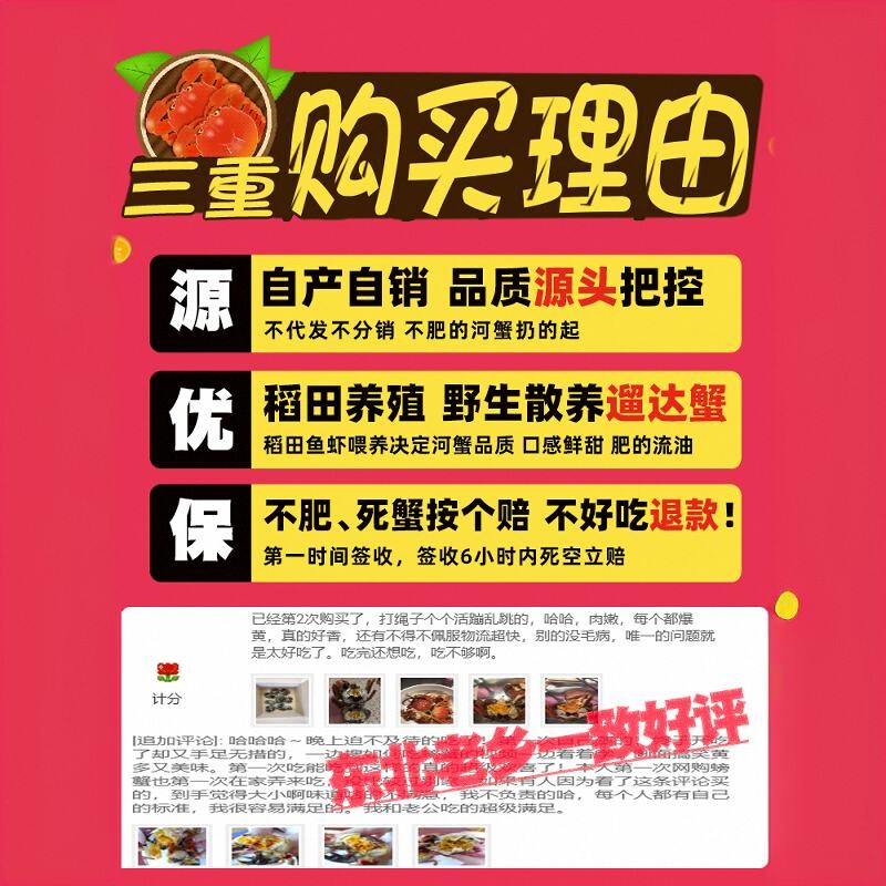 盘锦河蟹全母 多规格 湿地大闸蟹稻田螃蟹鲜活现货礼盒顺丰包邮