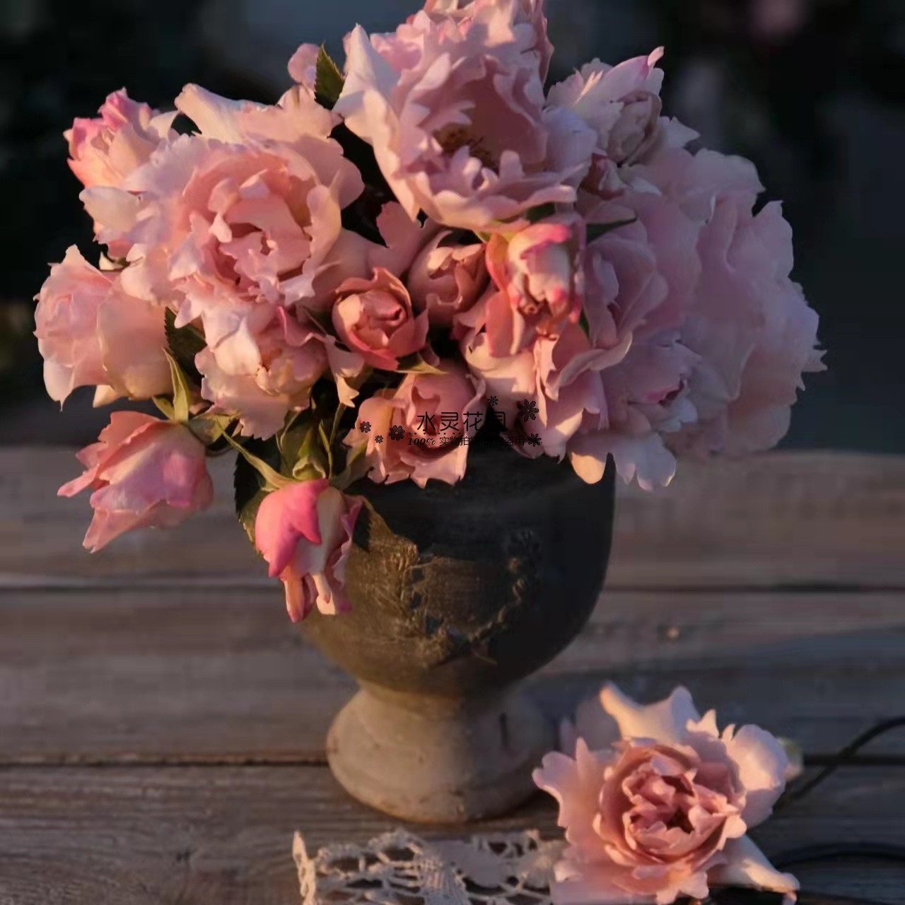 【水灵花园】时装玫瑰 日月月季花型仙气特色强香河本系,淘宝优惠券,粉丝福利购,淘宝优惠卷