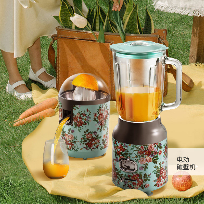 康雅小型汁渣分离家用电动原汁机 康雅榨汁机