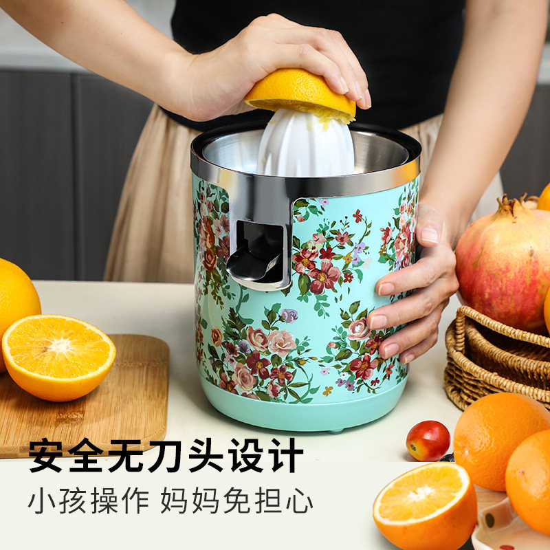 康雅小型汁渣分离家用电动原汁机 康雅榨汁机