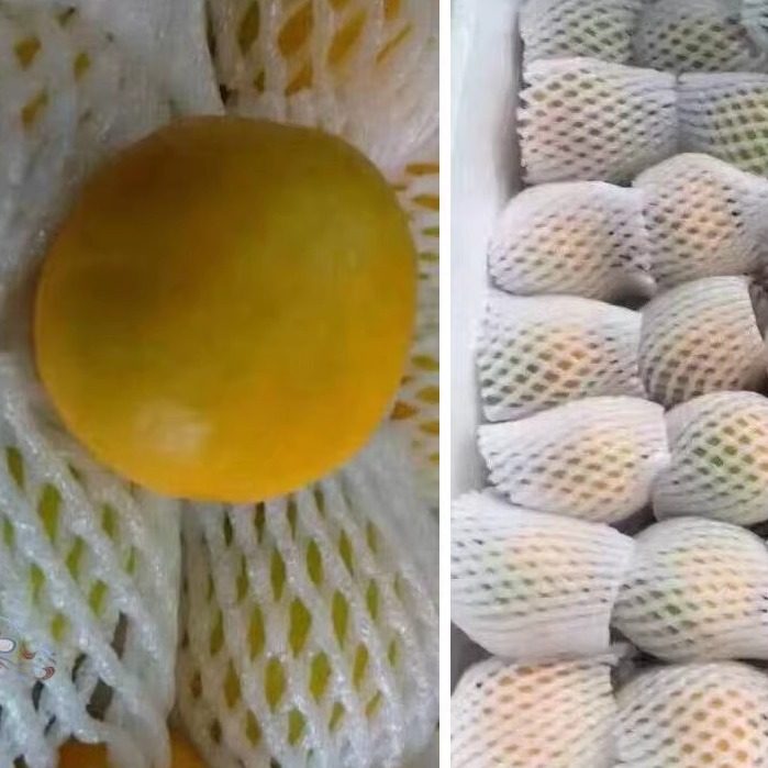 正宗新鲜杏子敦煌李广杏8斤时令水果营养丰富无公害果园直发顺丰,淘宝优惠券,粉丝福利购,淘宝优惠卷