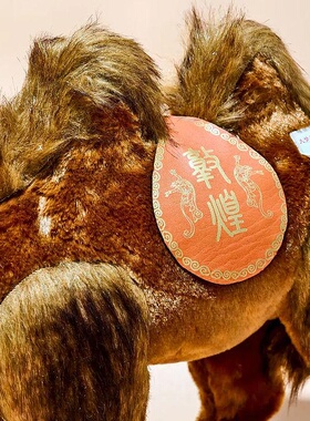 敦煌骆驼桌面摆件硬质站姿纪念品