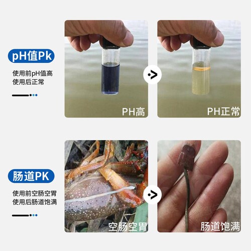 水产养殖乳酸菌乳酸菌原种乳酸菌水产em菌原种水产芽孢杆菌调节ph - 图1