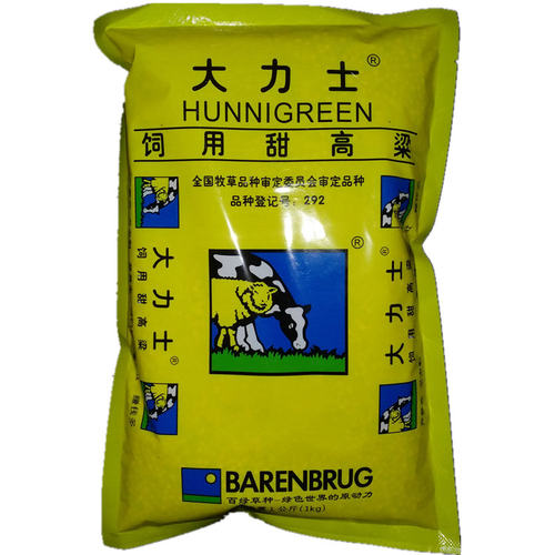 大力士甜高粱种子 正宗荷兰百绿集团进口牛羊鱼青贮 饲用牧草种籽 - 图3